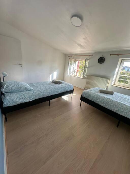 Apartament Le Leon Cladel T3 Proche Parking Gratuit Montauban Zewnętrze zdjęcie